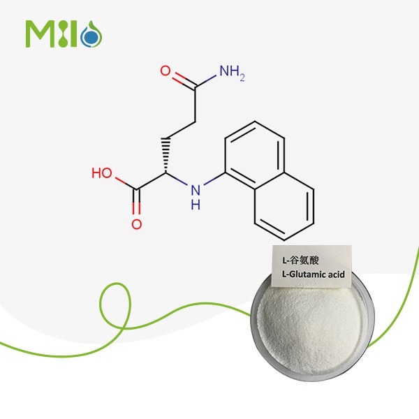 Best L-Glutamine Powder