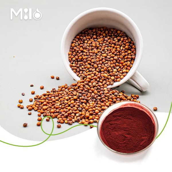 Kaoliang Red Sorghum Pigment